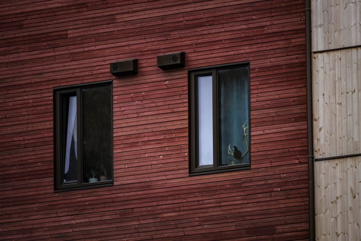 Comparatif fenêtres PVC vs bois pour rénovation