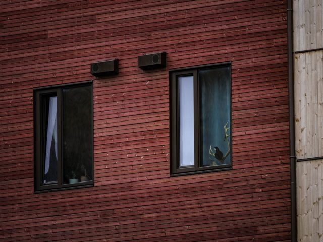 Comparatif fenêtres PVC vs bois pour rénovation